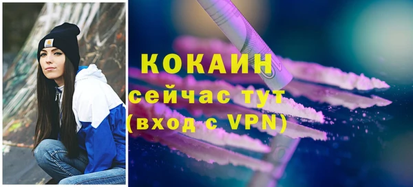 метадон Новодвинск