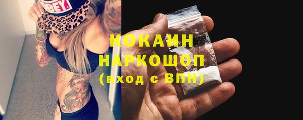 СК Новозыбков