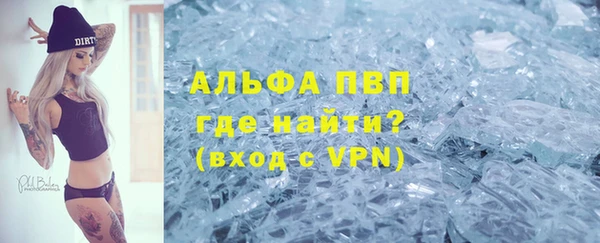 СК Новозыбков