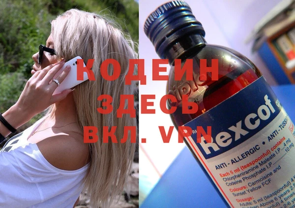 СК Новозыбков