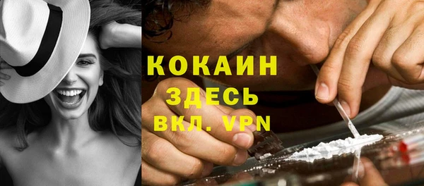 метадон Новодвинск