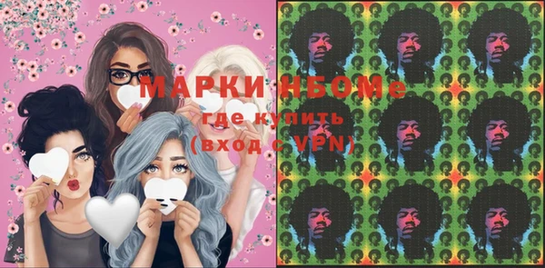СК Новозыбков